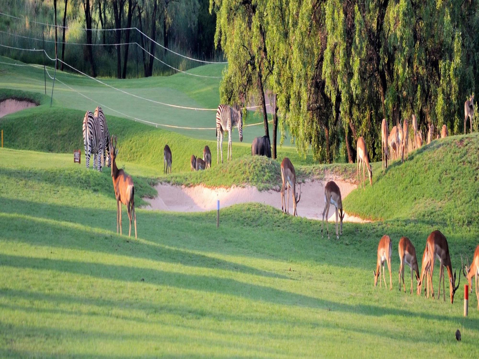 Elements Private Golf Reserve Bela-Bela Buitenkant foto
